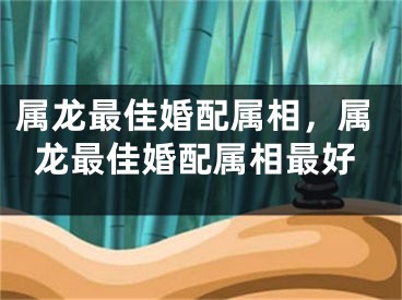 属龙最佳婚配属相，属龙最佳婚配属相最好