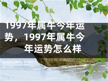 1997年属牛今年运势，1997年属牛今年运势怎么样