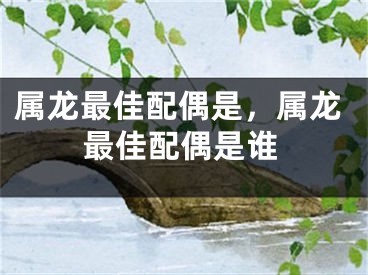 属龙最佳配偶是,属龙最佳配偶是谁