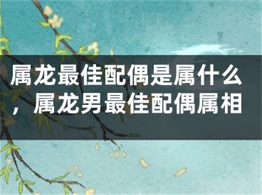 属龙最佳配偶是属什么,属龙男最佳配偶属相