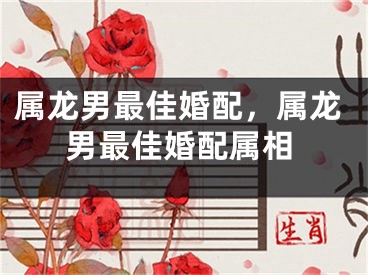 属龙男最佳婚配，属龙男最佳婚配属相