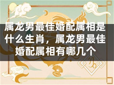属龙男最佳婚配属相是什么生肖，属龙男最佳婚配属相有哪几个