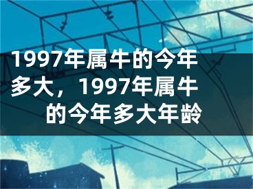 1997年属牛的今年多大，1997年属牛的今年多大年龄