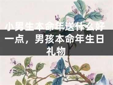 小男生本命年送什么好一点,男孩本命年生日礼物