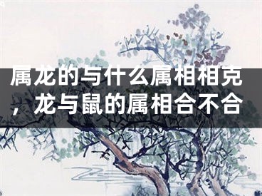 属龙的与什么属相相克,龙与鼠的属相合不合