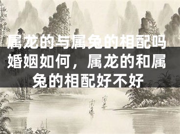 属龙的与属兔的相配吗婚姻如何,属龙的和属兔的相配好不好
