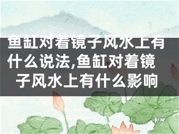 鱼缸对着镜子风水上有什么说法,鱼缸对着镜子风水上有什么影响