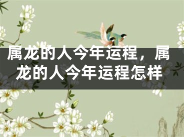 属龙的人今年运程,属龙的人今年运程怎样