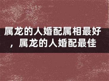 属龙的人婚配属相最好，属龙的人婚配最佳