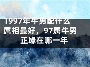1997年牛男配什么属相最好，97属牛男正缘在哪一年