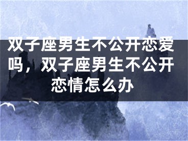 双子座男生不公开恋爱吗，双子座男生不公开恋情怎么办