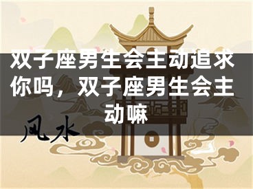 双子座男生会主动追求你吗，双子座男生会主动嘛