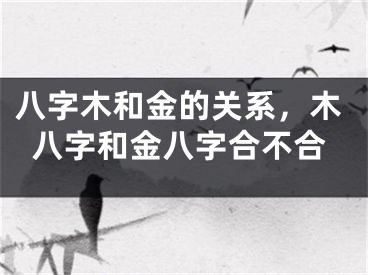 八字木和金的关系，木八字和金八字合不合