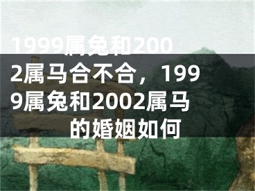 1999属兔和2002属马合不合，1999属兔和2002属马的婚姻如何