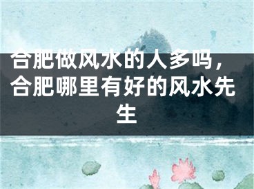 合肥做风水的人多吗，合肥哪里有好的风水先生