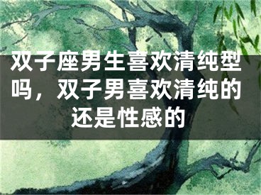 双子座男生喜欢清纯型吗，双子男喜欢清纯的还是性感的