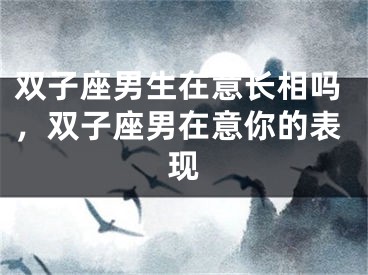 双子座男生在意长相吗，双子座男在意你的表现