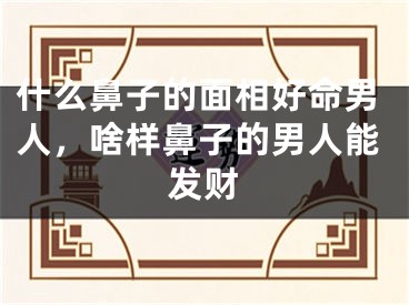 什么鼻子的面相好命男人，啥样鼻子的男人能发财