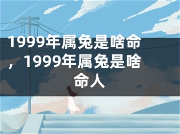 1999年属兔是啥命，1999年属兔是啥命人