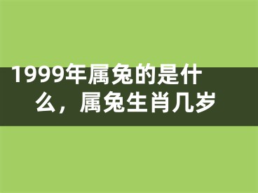 1999年属兔的是什么，属兔生肖几岁
