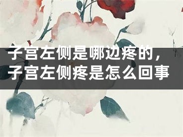 子宫左侧是哪边疼的,子宫左侧疼是怎么回事