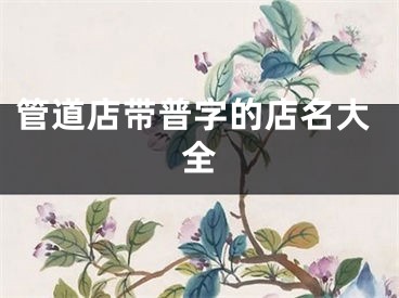 管道店带普字的店名大全
