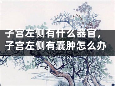 子宫左侧有什么器官,子宫左侧有囊肿怎么办