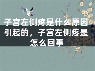 子宫左侧疼是什么原因引起的,子宫左侧疼是怎么回事