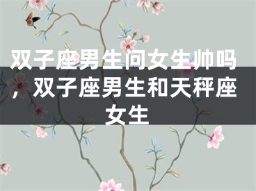 双子座男生问女生帅吗，双子座男生和天秤座女生