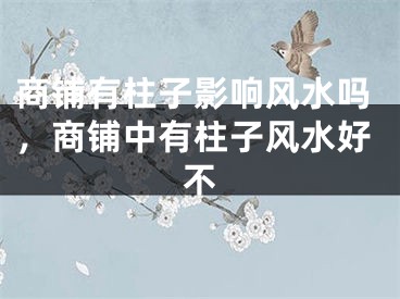 商铺有柱子影响风水吗，商铺中有柱子风水好不