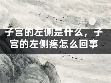 子宫的左侧是什么,子宫的左侧疼怎么回事