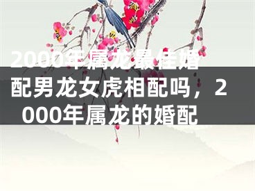 2000年属龙最佳婚配男龙女虎相配吗，2000年属龙的婚配
