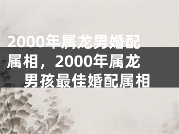 2000年属龙男婚配属相，2000年属龙男孩最佳婚配属相