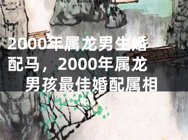 2000年属龙男生婚配马，2000年属龙男孩最佳婚配属相