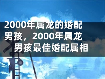 2000年属龙的婚配男孩，2000年属龙男孩最佳婚配属相