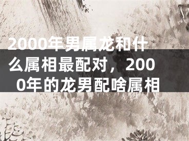 2000年男属龙和什么属相最配对，2000年的龙男配啥属相