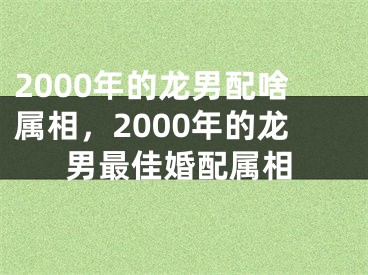2000年的龙男配啥属相，2000年的龙男最佳婚配属相