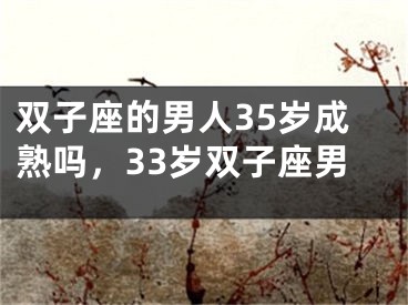 双子座的男人35岁成熟吗,33岁双子座男