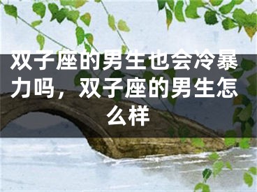 双子座的男生也会冷暴力吗，双子座的男生怎么样