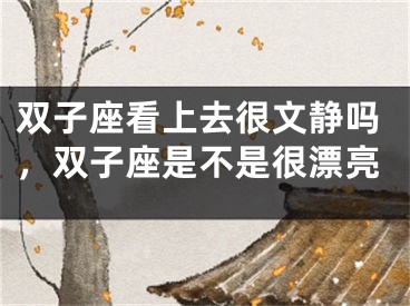 双子座看上去很文静吗，双子座是不是很漂亮