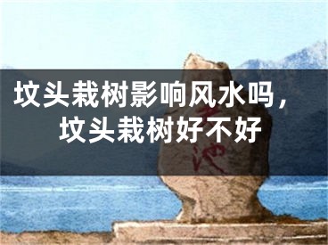 坟头栽树影响风水吗，坟头栽树好不好