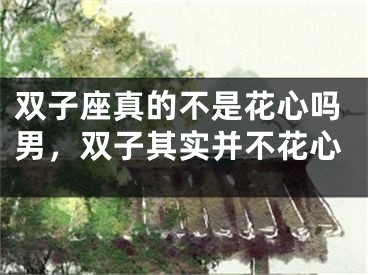 双子座真的不是花心吗男，双子其实并不花心