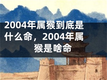 2004年属猴到底是什么命，2004年属猴是啥命