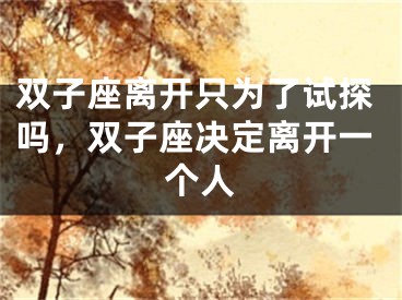 双子座离开只为了试探吗，双子座决定离开一个人