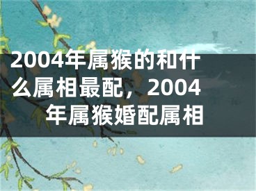 2004年属猴的和什么属相最配，2004年属猴婚配属相