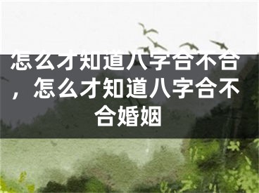 怎么才知道八字合不合，怎么才知道八字合不合婚姻
