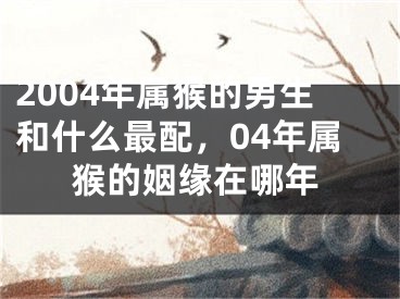 2004年属猴的男生和什么最配，04年属猴的姻缘在哪年