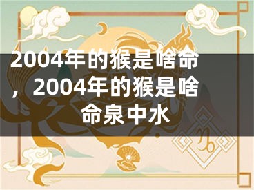 2004年的猴是啥命，2004年的猴是啥命泉中水