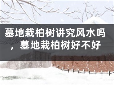 墓地栽柏树讲究风水吗，墓地栽柏树好不好