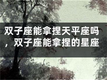双子座能拿捏天平座吗，双子座能拿捏的星座